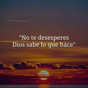 Meet your Posher, Priscilla